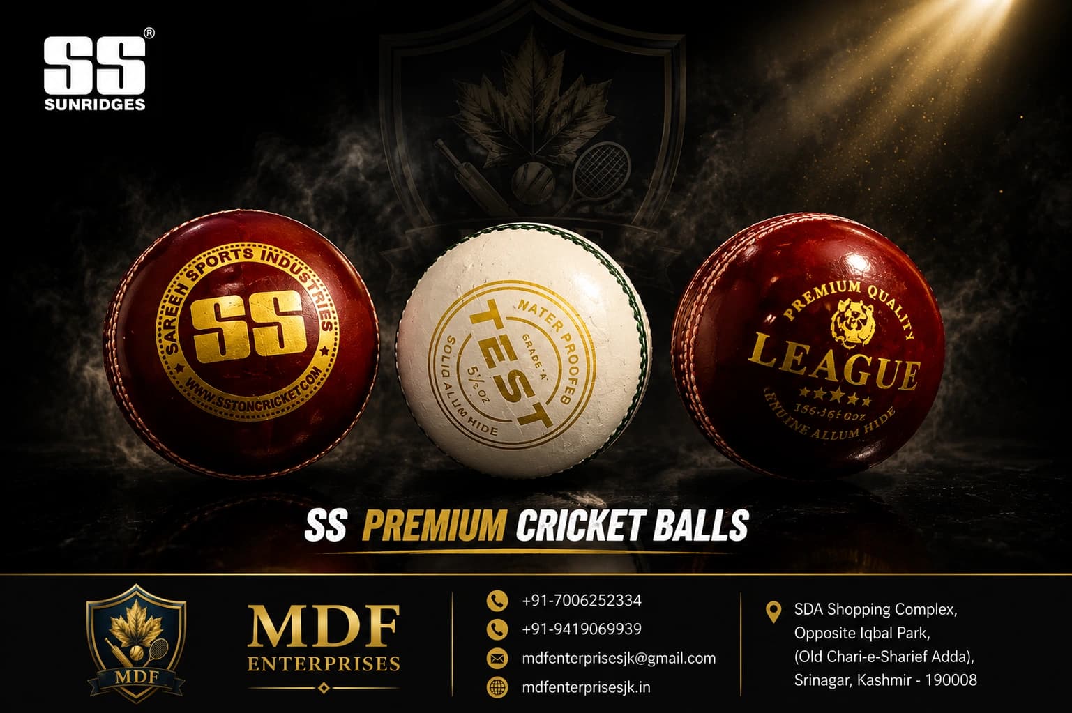 SS Cricket Balls