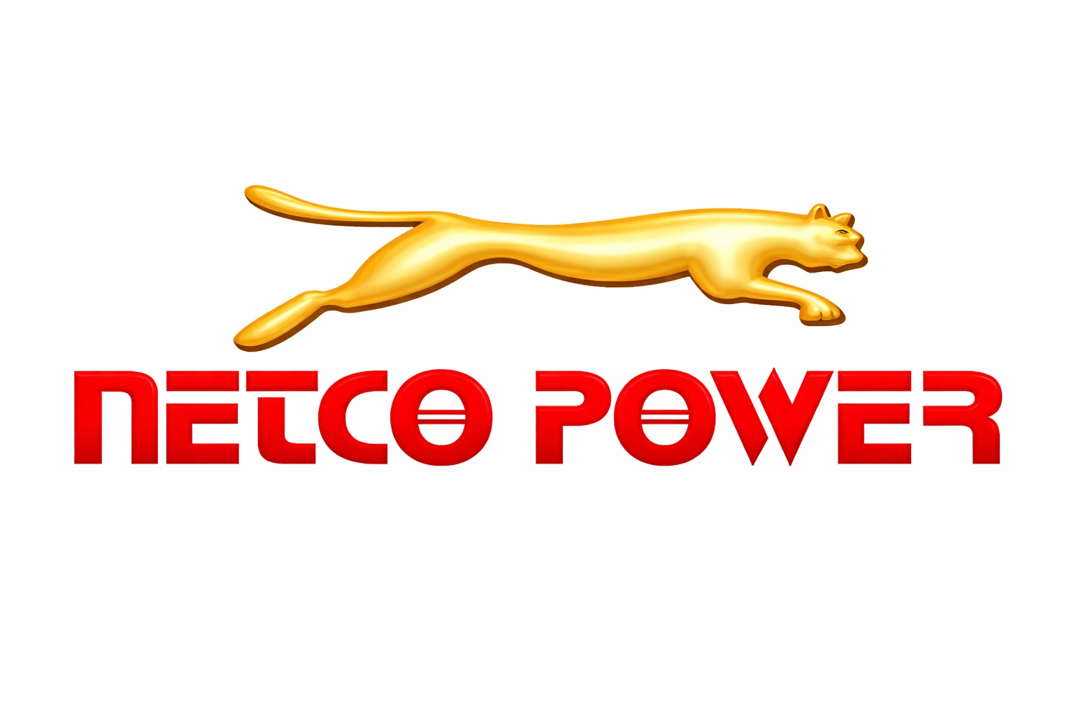 Netco Power